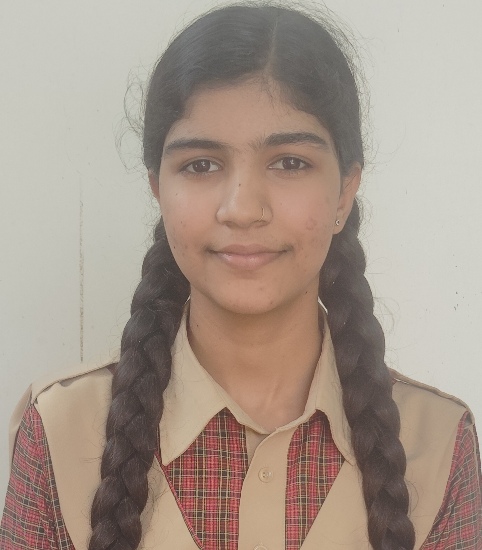 Anjali — XII — COMMERCE topper at AJDG School, RBSE Board 2025-26 (94.20%)